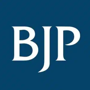 Criminal Defense Brion J Payne