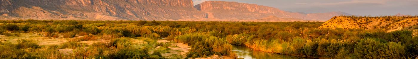 TEXAS, USA